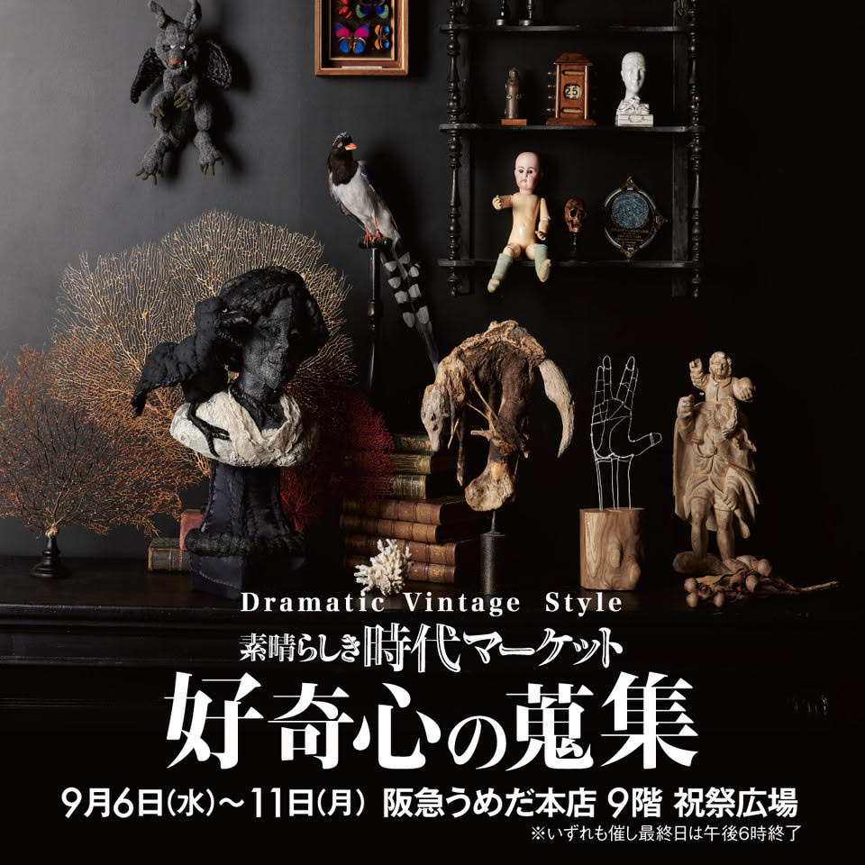Exhibition in Osaka『好奇心の蒐集』