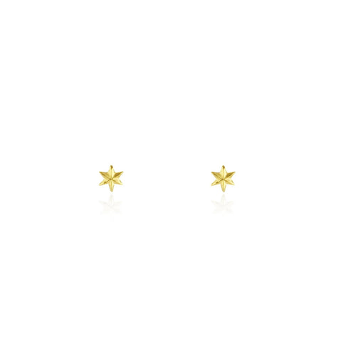 micro mini star stud earrings gold