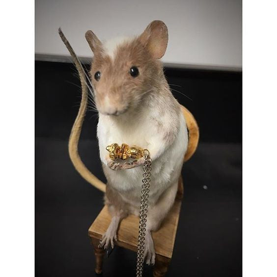 MOMOCREATURA Baby Necklace Silver / Gold Vermeil