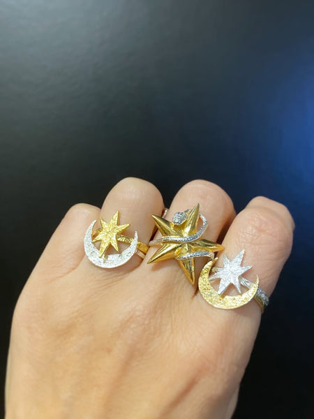 Snake Catching a Star Ring