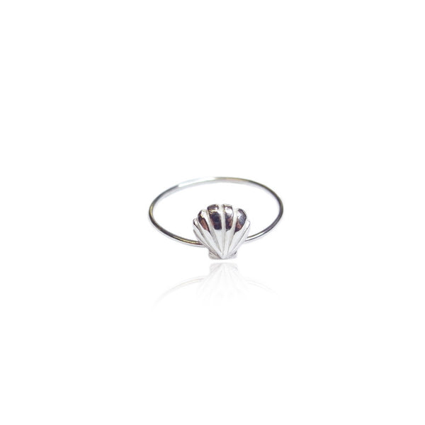 Single Shell Ring Silver Product Shot