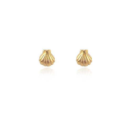 Shell Stud Earrings Gold