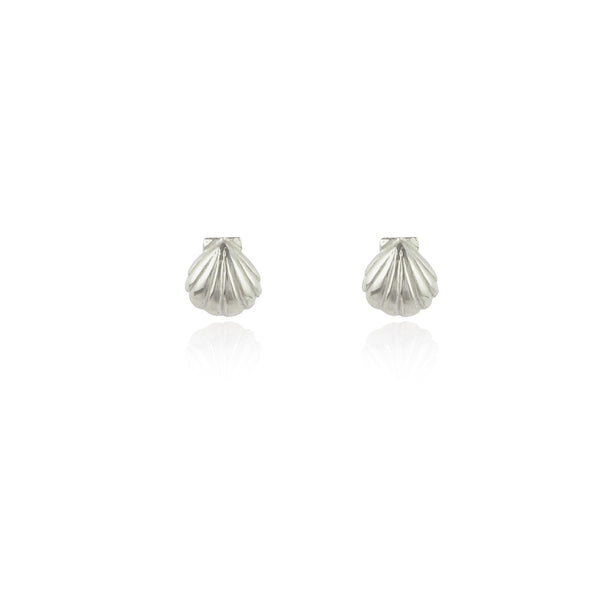 Shell Stud Earrings Silver