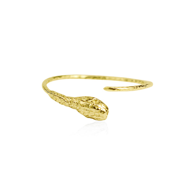 Ouroboros hoop earrings